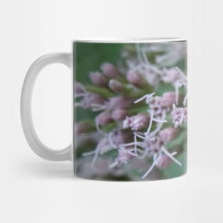 Bee And Moth On Water Hemp Flower Mug